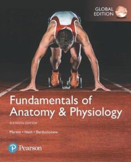 Fundamentals of anatomy physiology martini